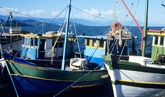 Leia mais sobre o artigo Homem autuado pelo Ibama por pesca predatória deve pagar multa de R$ 300 mil (04/05/2022)