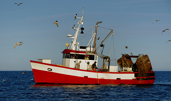 Leia mais sobre o artigo TRF4 mantém suspensão de pesca de arrasto no litoral do RS (07/06/2022)