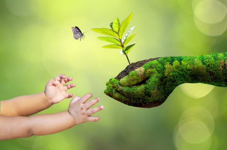 Leia mais sobre o artigo JFRS vence categoria em concurso nacional de decisões sobre meio ambiente (23/08/2022)