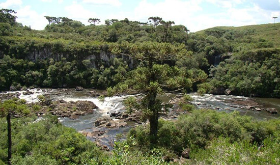 Leia mais sobre o artigo Empresa que foi desapropriada para a criação do Parque Nacional das Araucárias (SC) será indenizada (02/09/2022)