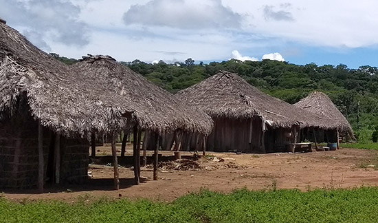 Leia mais sobre o artigo Justiça delimita prazo para que Incra finalize demarcação de Comunidade Quilombola (19/09/2022)