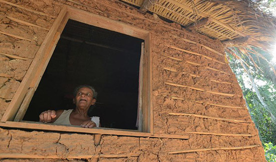 Leia mais sobre o artigo Ação previdenciária negada volta ao 1º grau para análise de concessão de BPC (28/11/2022)
