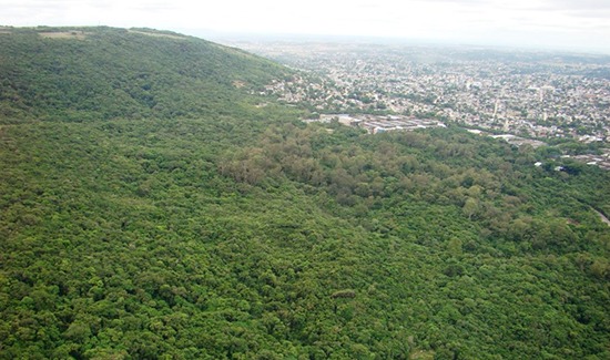 Leia mais sobre o artigo Recurso contra ocupação no Morro Santana não será analisado durante recesso (29/12/2022)