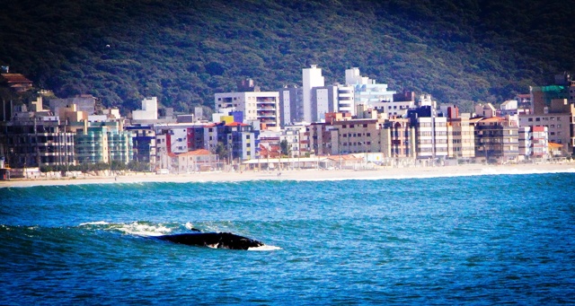 Leia mais sobre o artigo Negada liminar para proibir realização de mega eventos na Praia do Mar Grosso, em Laguna (13/01/2023)