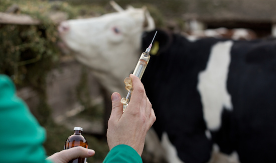 Leia mais sobre o artigo Sindicato de Trabalhadores Rurais não é obrigado a se inscrever em Conselho de Veterinária (27/01/2023)