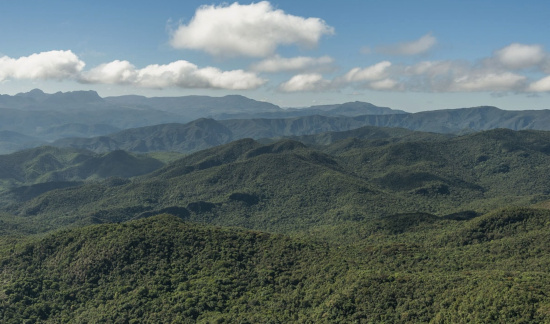 Leia mais sobre o artigo Mantida multa para cooperativa por desmatamento de mais de 17 hectares de Mata Atlântica (24/02/2023)