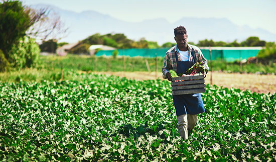 Leia mais sobre o artigo Agricultor com visão monocular tem direito a receber benefício assistencial (20/03/2023)