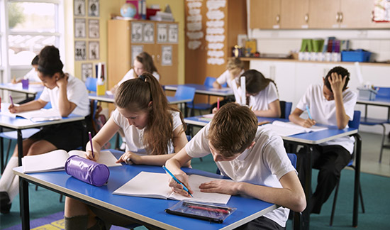 Leia mais sobre o artigo Escola de Ijuí (RS) tem direito ao nome Centro de Educação Básica Francisco de Assis (06/03/2023)