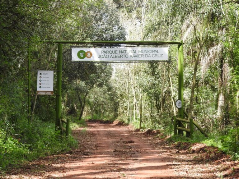 Leia mais sobre o artigo Indígenas poderão permanecer em parque municipal de Carazinho (RS) (03/04/2023)