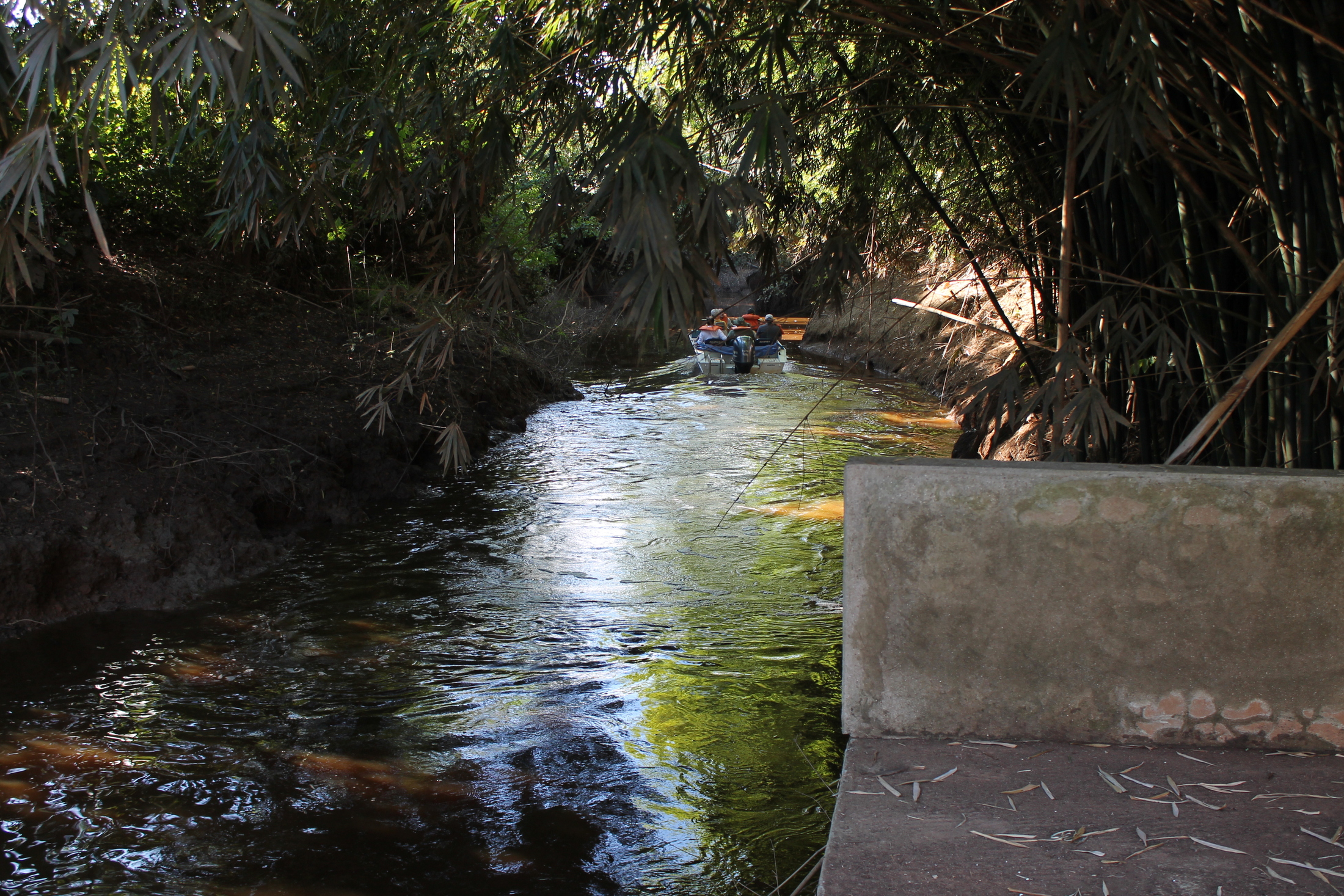 No momento, você está visualizando Justiça Federal de Paranavaí realiza inspeção judicial em área de conservação às margens do Rio Paraná (24/05/2023)