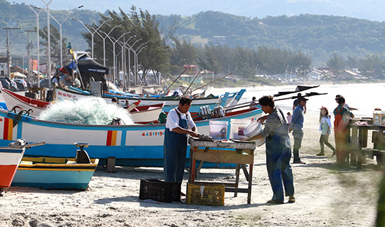 Leia mais sobre o artigo TRF4 nega recurso do estado de SC para revisão das cotas de pesca da tainha (21/06/2023)