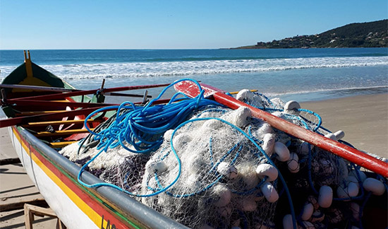 Leia mais sobre o artigo Justiça Federal extingue ação do Estado de Santa Catarina para rever cotas da pesca da tainha (06/06/2023)
