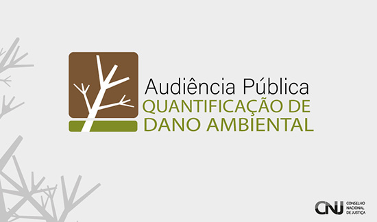 Leia mais sobre o artigo CNJ promove Audiência Pública sobre quantificação de dano ambiental (26/07/2023)
