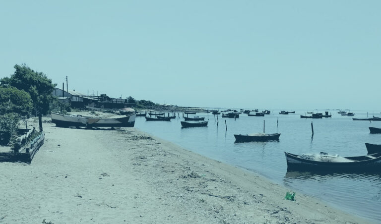 Leia mais sobre o artigo Pescador e marinheiro são condenados por dificultar a ação fiscalizadora do Ibama e Brigada Militar (14/08/2023)