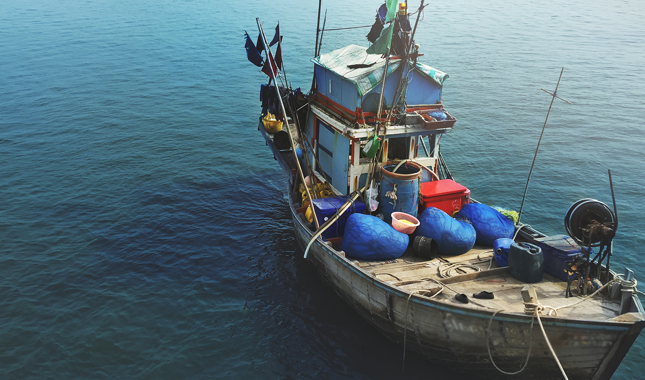 No momento, você está visualizando Pescador é condenado a dois anos e três meses de detenção por pescas em local proibido (23/01/2024)