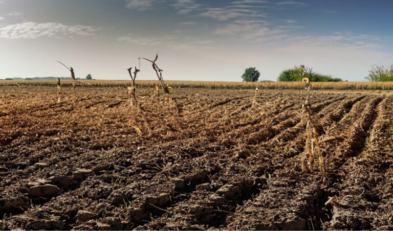 Leia mais sobre o artigo Banco Central é condenado ao pagamento de R$ 91 mil a produtor rural (28/02/2024)