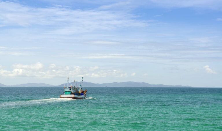 Leia mais sobre o artigo Proprietário de embarcação é condenado ao pagamento de R$ 45 mil por pesca em local proibido (06/03/2024)
