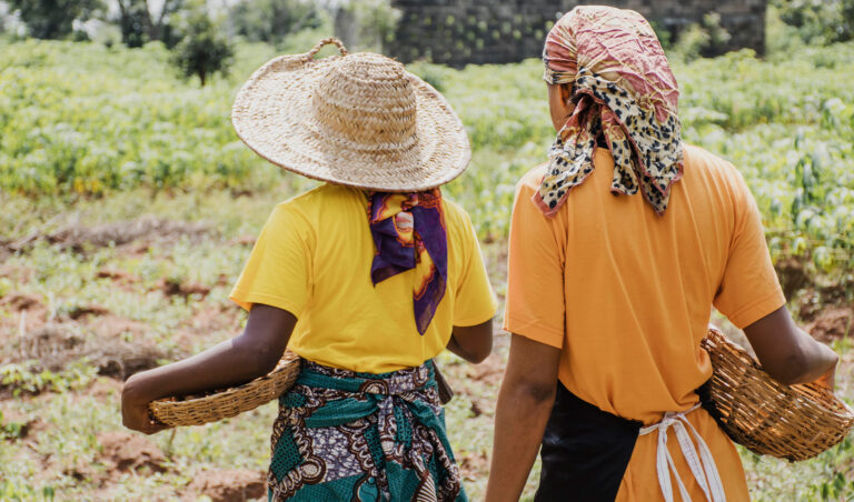 Leia mais sobre o artigo União é condenada a indenizar comunidade agrícola em função de demora em regularização fundiária (19/03/2024)