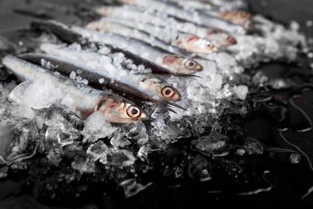 Leia mais sobre o artigo Indústria de conservação de pescados não precisa de inscrição no Crea (08/04/2024)