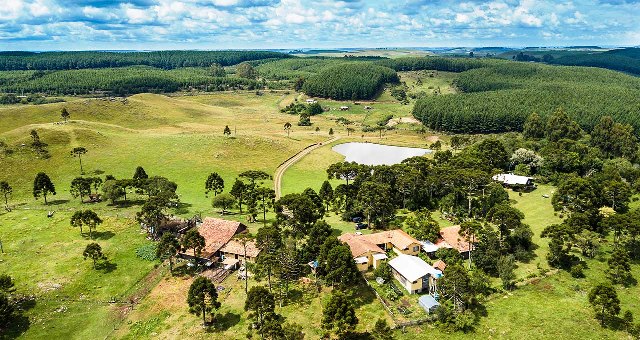 Leia mais sobre o artigo Justiça Federal mantém definição do Código do Ambiente de SC para campos de altitude (10/09/2024)