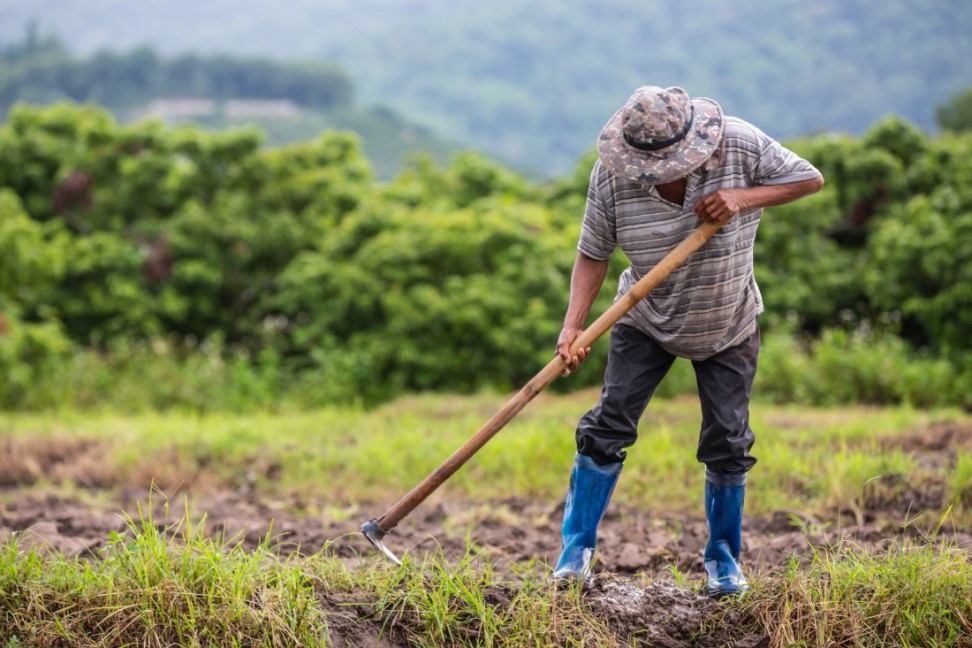 No momento, você está visualizando Agricultor indígena garante benefício por incapacidade temporária (11/11/2024)