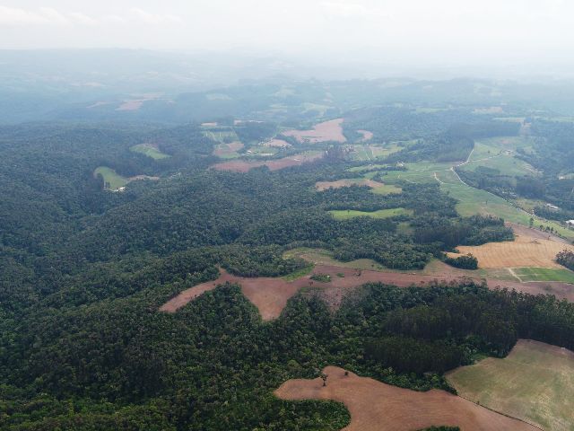 Leia mais sobre o artigo Justiça Federal de SC realiza visita técnica e mediação conjuntamente com Justiça Estadual em área de conflito fundiário de 12 mil hectares (27/02/2025)
