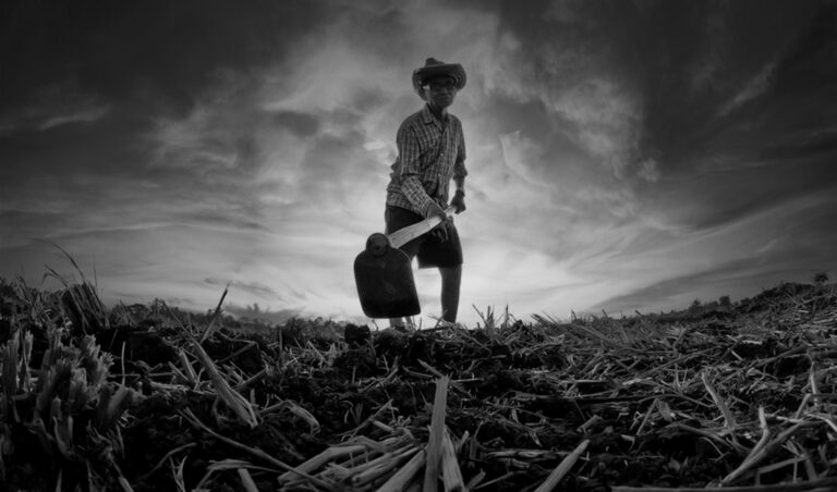 Leia mais sobre o artigo União deverá indenizar sucessores de agricultor em decorrência de perseguição política (25/03/2025)