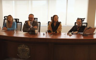 Leia mais sobre o artigo Juízes e peritos discutem atuação pericial e julgamento com perspectiva de gênero (20/05/2025)