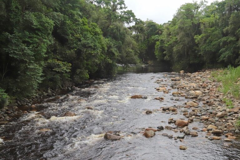 Leia mais sobre o artigo Mineradora terá que indenizar União em R$ 2 milhões por extração de areia e cascalho de rios de Morretes (05/06/2025)