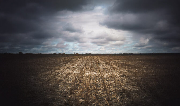 Leia mais sobre o artigo Bacen deverá pagar indenização securitária do Proagro para agricultora que teve prejuízos com as chuvas de 2023 (20/06/2025)