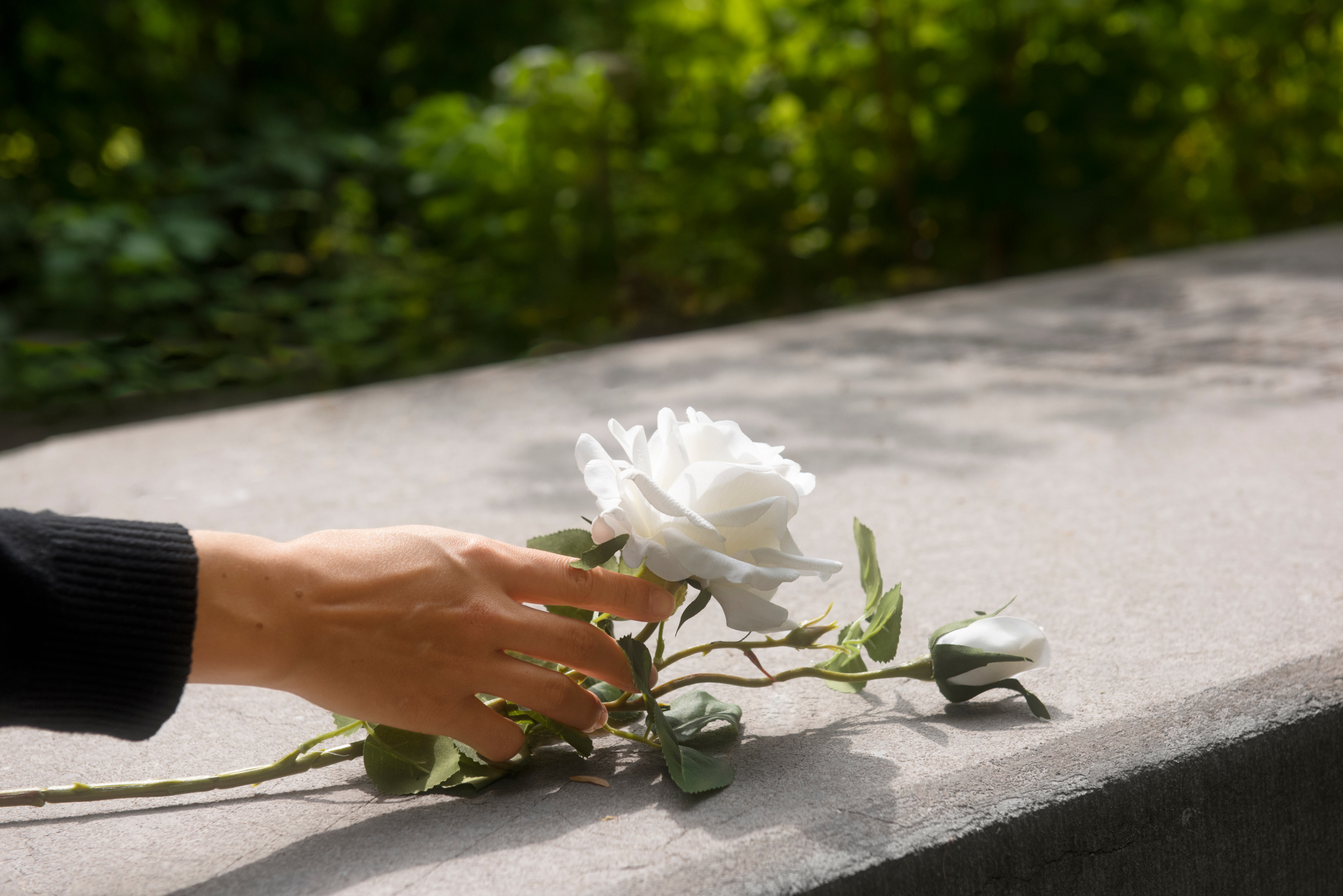 No momento, você está visualizando Aposentada por incapacidade permanente conquista benefícios de pensão por morte dos pais (25/07/2025)
