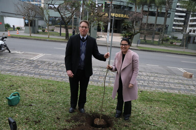 Leia mais sobre o artigo Adote uma Árvore: plantio de Ipê-Amarelo abre campanha de distribuição de mudas (03/07/2025)