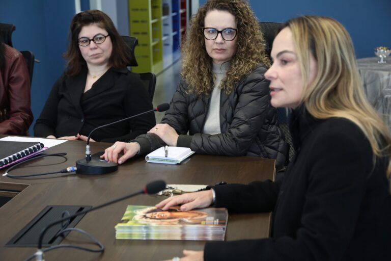 Leia mais sobre o artigo Encontro reúne Rede de Enfrentamento à Violência contra Mulher (11/07/2025)