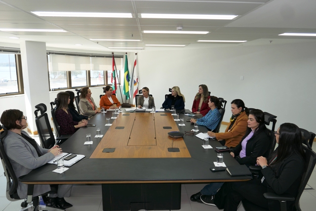 Leia mais sobre o artigo Órgãos federais e estaduais discutem criação, em SC, de rede de enfrentamento à violência contra a mulher (13/08/2025)