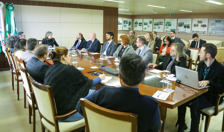 Leia mais sobre o artigo TRF4 e INSS discutem medidas para garantir maior eficiência no cumprimento de determinações judiciais (14/08/2025)