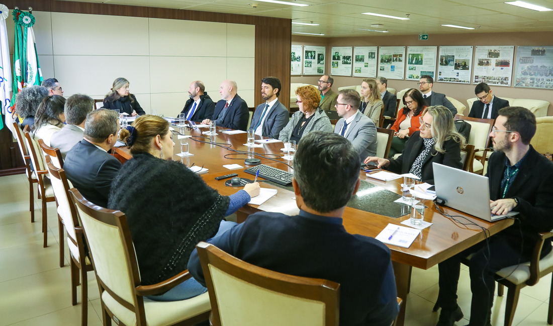 No momento, você está visualizando TRF4 e INSS discutem medidas para garantir maior eficiência no cumprimento de determinações judiciais (14/08/2025)