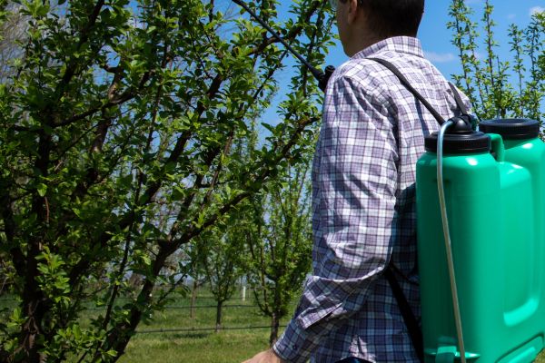 Leia mais sobre o artigo Mais quatro réus são condenados por importação, comércio e transporte de agrotóxicos clandestinos (13/08/2025)