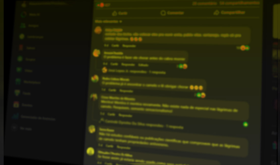 No momento, você está visualizando Duas pessoas são condenadas em Passo Fundo por atos de discriminação racial contra povos indígenas em rede social (05/08/2025)