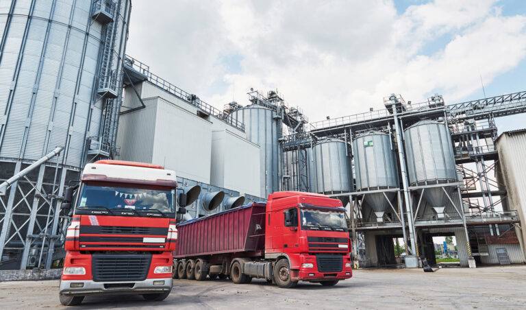 Leia mais sobre o artigo Três pessoas são condenadas por contrabando de farelo de soja (13/10/2025)