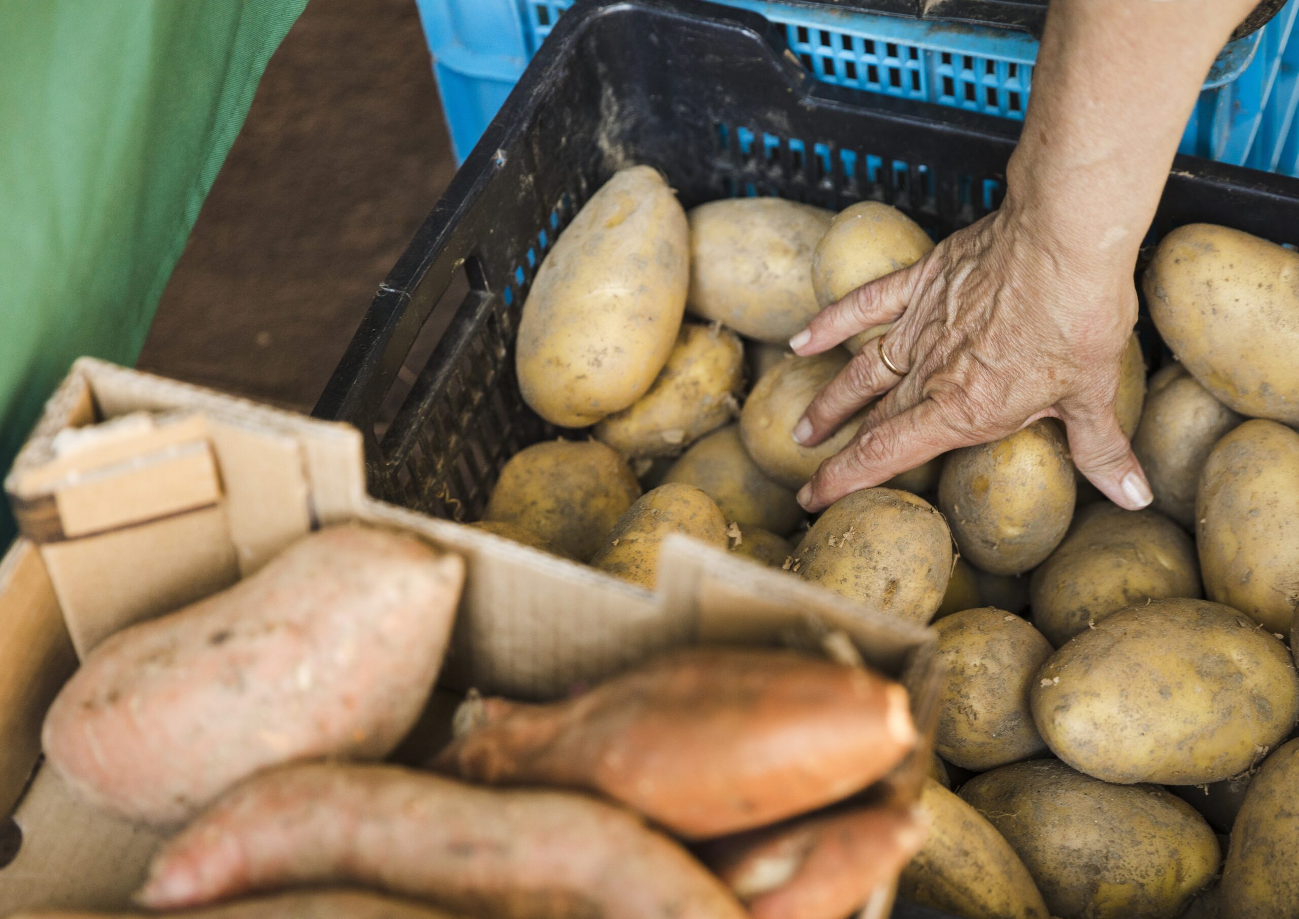 No momento, você está visualizando Julgamento com perspectiva de gênero garante aposentadoria por idade para trabalhadora rural (18/11/2025)