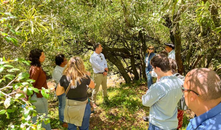 Leia mais sobre o artigo Comissão de Soluções Fundiárias faz visita no Quilombo Von Bock, no município de São Gabriel (RS) (21/11/2025)