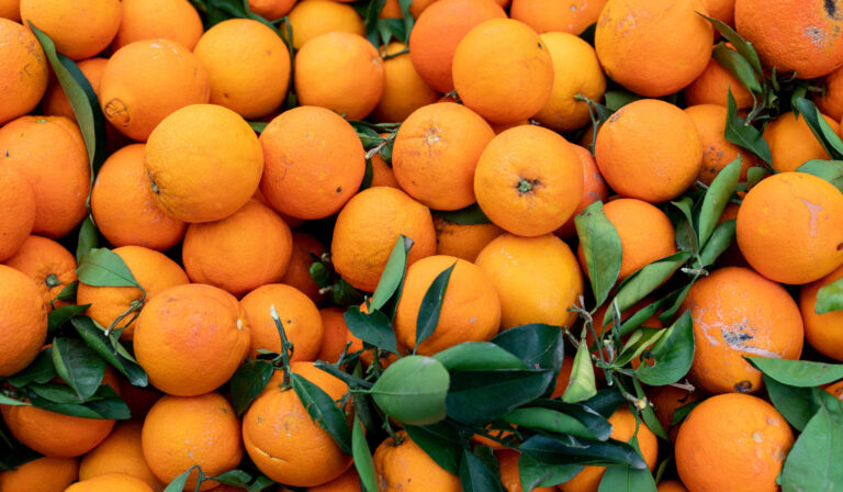 Leia mais sobre o artigo Seis pessoas são condenadas por contrabando de vinte toneladas de laranjas oriundas do Uruguai (05/11/2025)