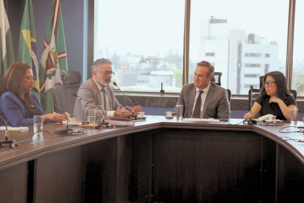 Leia mais sobre o artigo JF4R se reúne com PGE, Defesa Civil e demais órgãos para deliberar ações em apoio a Rio Bonito do Iguaçu (11/11/2025)