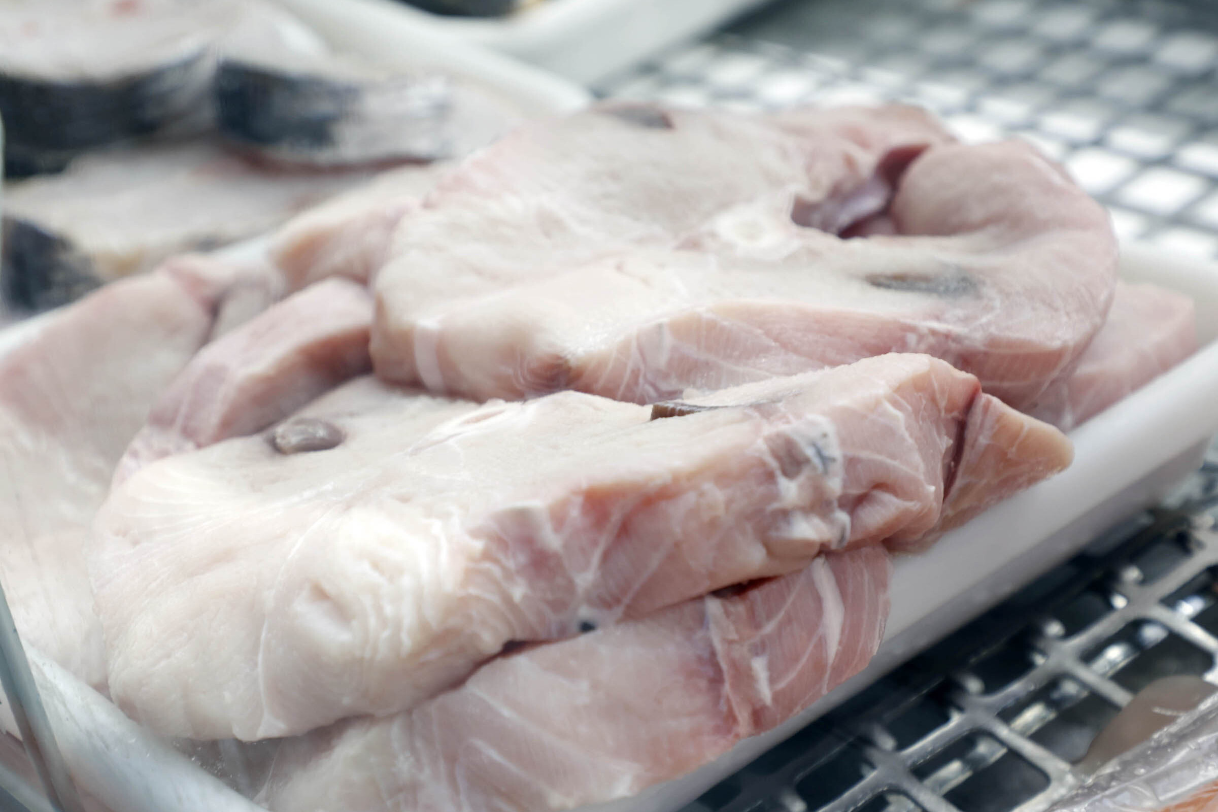 No momento, você está visualizando Justiça proíbe governo federal de comprar carne de cação sem identificação da espécie (09/04/2026)