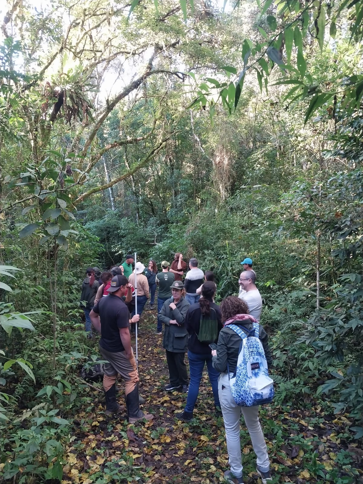 No momento, você está visualizando Vara Federal Ambiental fiscaliza aplicação de R$ 72 milhões em projetos de restauração da Mata Atlântica (28/05/2026)