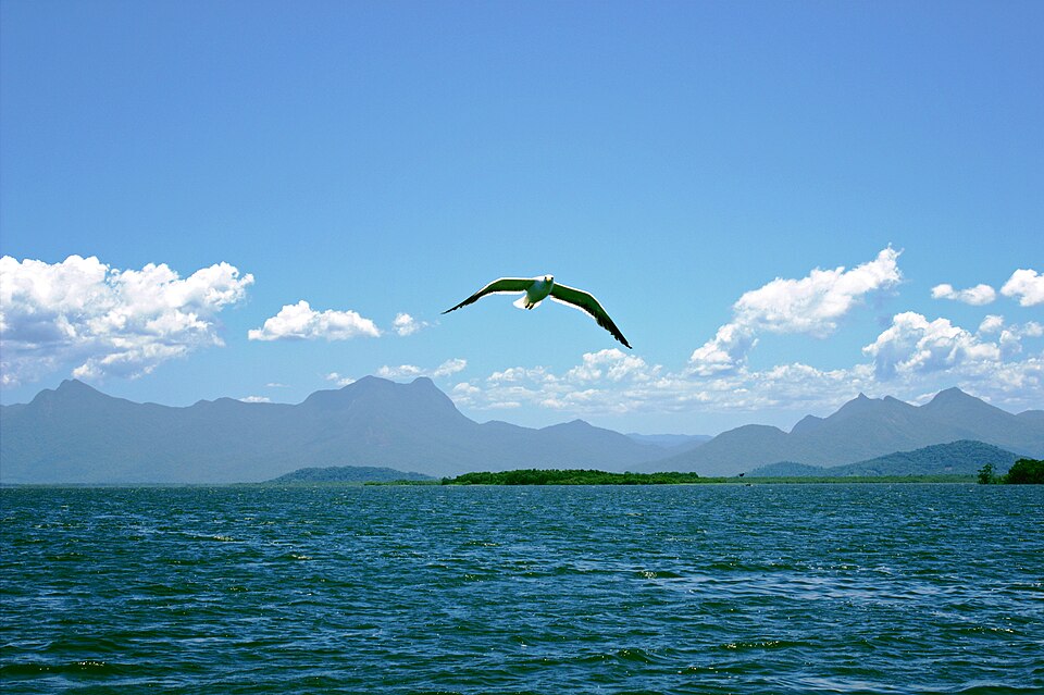 No momento, você está visualizando Justiça Federal dá prazo para ICMBio regularizar comunidades tradicionais no Parque Nacional Guaricana (14/09/2026)